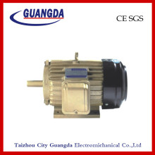 CE SGS 4kw Triple-Phase Air Compressor Motor